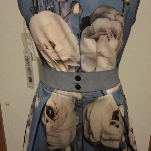 NWT Rinascimento Designer Sz Medium Sleeveless Blue Printed Fit And Flare Dress - Picture 6 of 17